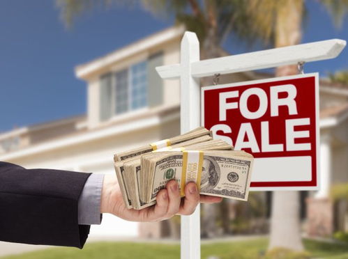 美國(guó)全現(xiàn)金購(gòu)房創(chuàng)十年新高，物業(yè)管理行業(yè)迎來(lái)新機(jī)遇與挑戰(zhàn)